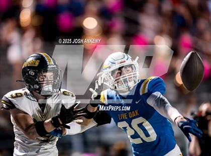 Thumbnail 2 in Live Oak @ St. Amant photogallery.