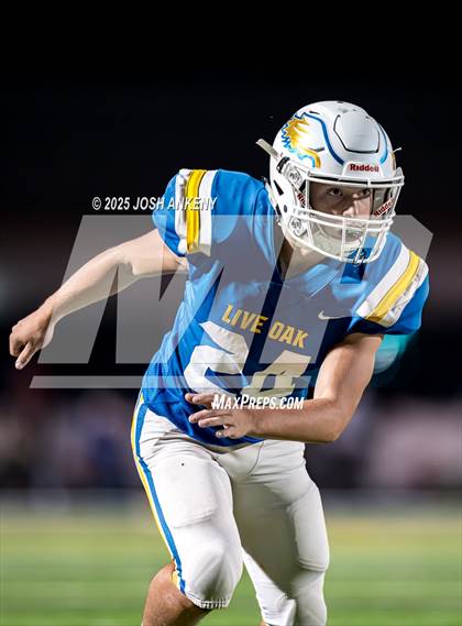 Thumbnail 2 in Live Oak @ St. Amant photogallery.