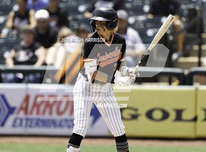 Thumbnail 1 in New Home vs. Centerville (UIL Baseball 2A D1 Final) photogallery.
