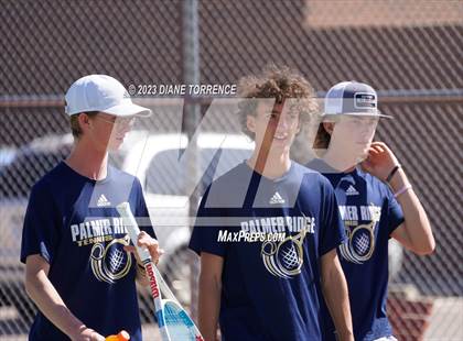 Thumbnail 3 in Coronado vs Palmer Ridge (CHSAA 4A Round 1) photogallery.