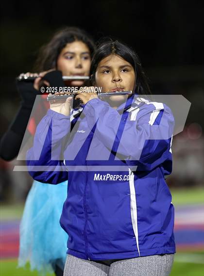 Thumbnail 3 in Patriot @ Gar-Field photogallery.