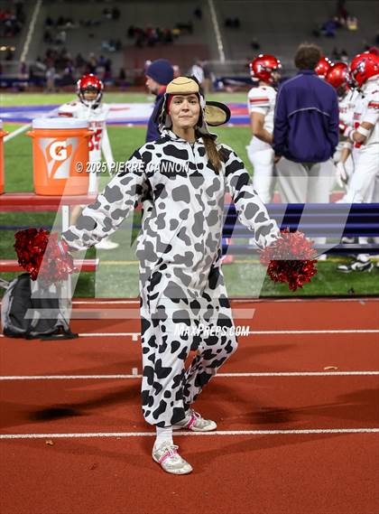 Thumbnail 1 in Patriot @ Gar-Field photogallery.