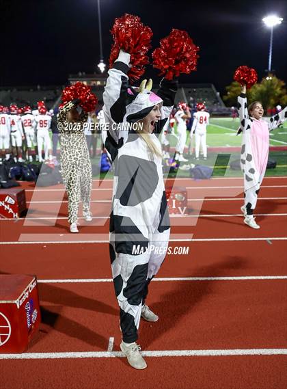 Thumbnail 1 in Patriot @ Gar-Field photogallery.