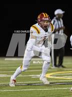 Photo from the gallery "Cardinal Newman @ Montgomery"