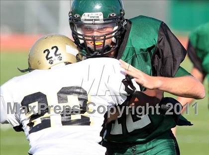 Thumbnail 2 in Palos Verdes Peninsula vs. South Torrance photogallery.