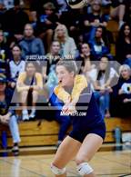 Photo from the gallery "Oak Ridge @ Granite Bay"