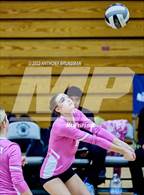 Photo from the gallery "Oak Ridge @ Granite Bay"