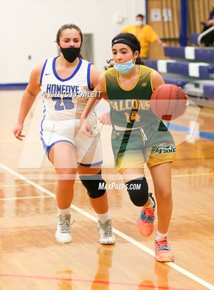 Thumbnail 1 in Finney @ Honeoye photogallery.