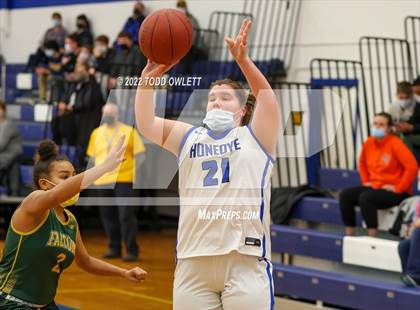 Thumbnail 2 in Finney @ Honeoye photogallery.