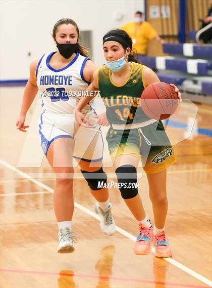 Thumbnail 2 in Finney @ Honeoye photogallery.