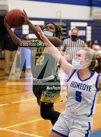 Thumbnail 3 in Finney @ Honeoye photogallery.