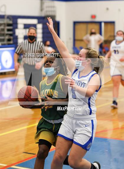 Thumbnail 1 in Finney @ Honeoye photogallery.