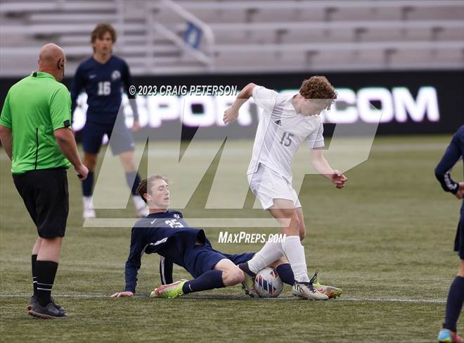 null - Photo 11
