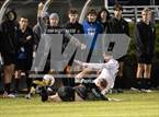 Photo from the gallery "Greenhills vs. Williamston (MHSAA D3 Reg Final)"