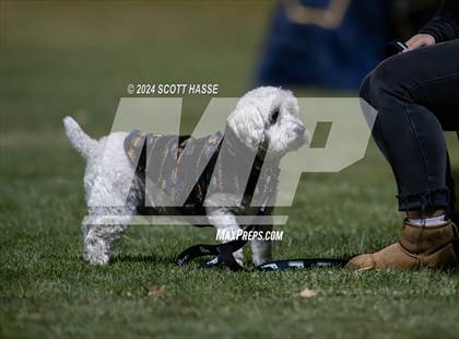 Thumbnail 3 in Greenhills vs. Williamston (MHSAA D3 Reg Final) photogallery.