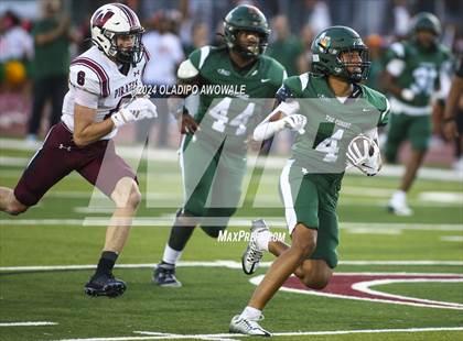 Thumbnail 1 in Wylie @ Naaman Forest photogallery.