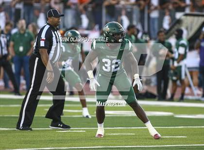 Thumbnail 2 in Wylie @ Naaman Forest photogallery.