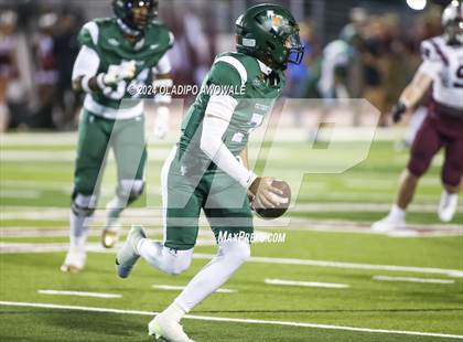 Thumbnail 1 in Wylie @ Naaman Forest photogallery.