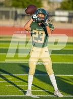 Photo from the gallery "Dobson @ Skyline"