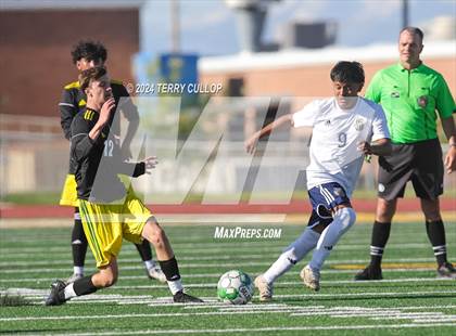 Thumbnail 3 in Hunter @ Kearns photogallery.