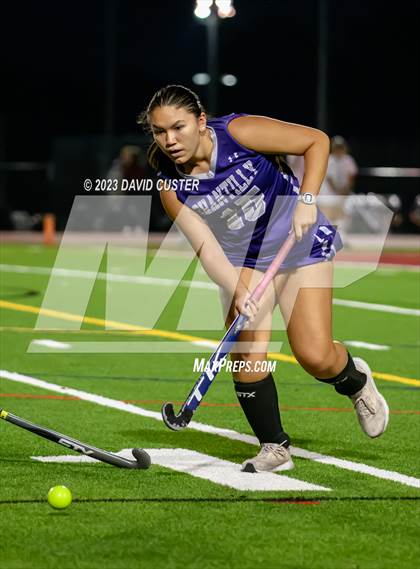 Thumbnail 3 in Chantilly @ Oakton photogallery.