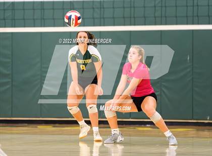 Thumbnail 2 in Allentown Central Catholic @ Emmaus photogallery.