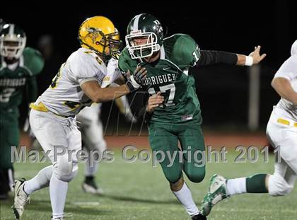 Thumbnail 1 in Vanden @ Rodriguez photogallery.