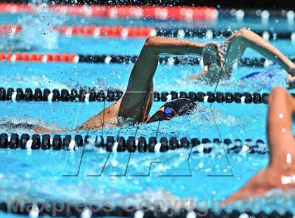 Thumbnail 3 in CIF SS D2 Boys Swimming Championships photogallery.