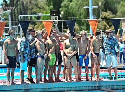 Thumbnail 3 in CIF SS D2 Boys Swimming Championships photogallery.