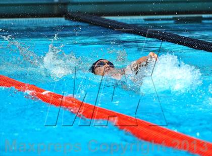 Thumbnail 2 in CIF SS D2 Boys Swimming Championships photogallery.