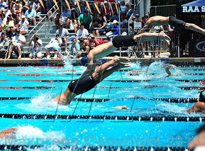 Thumbnail 3 in CIF SS D2 Boys Swimming Championships photogallery.