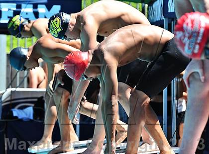Thumbnail 3 in CIF SS D2 Boys Swimming Championships photogallery.