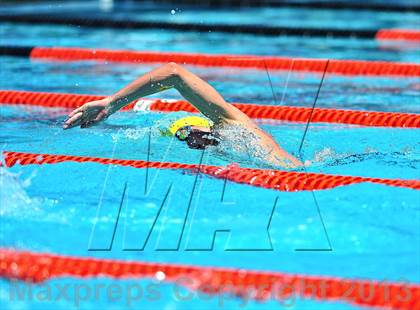 Thumbnail 1 in CIF SS D2 Boys Swimming Championships photogallery.