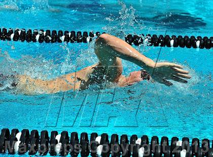 Thumbnail 2 in CIF SS D2 Boys Swimming Championships photogallery.