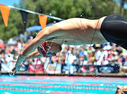 Thumbnail 3 in CIF SS D2 Boys Swimming Championships photogallery.