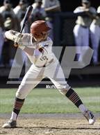 Photo from the gallery "Heritage @ Basha"