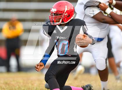 Thumbnail 3 in Gwynn Park @ Friendly photogallery.