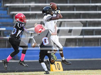 Thumbnail 2 in Gwynn Park @ Friendly photogallery.