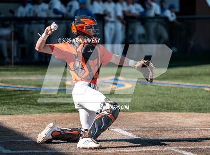 Thumbnail 2 in Catholic @ Live Oak photogallery.