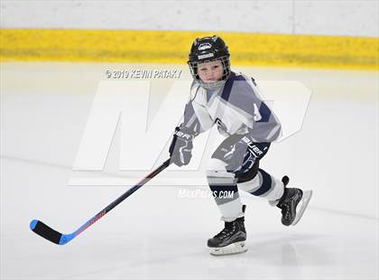 Thumbnail 1 in Conard @ Edwin O. Smith photogallery.
