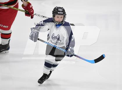 Thumbnail 3 in Conard @ Edwin O. Smith photogallery.