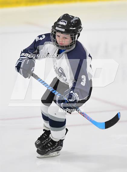 Thumbnail 2 in Conard @ Edwin O. Smith photogallery.