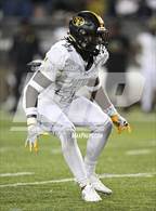 Photo from the gallery "St. Frances Academy vs. East St. Louis"