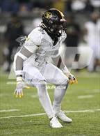 Photo from the gallery "St. Frances Academy vs. East St. Louis"