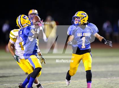 Thumbnail 3 in Live Oak @ Oak Grove photogallery.