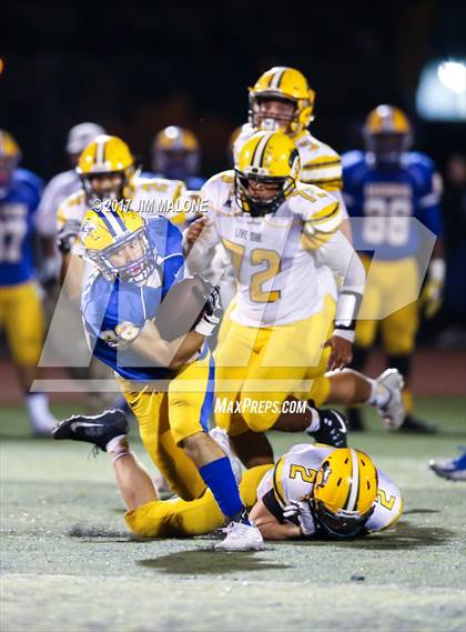 Thumbnail 1 in Live Oak @ Oak Grove photogallery.