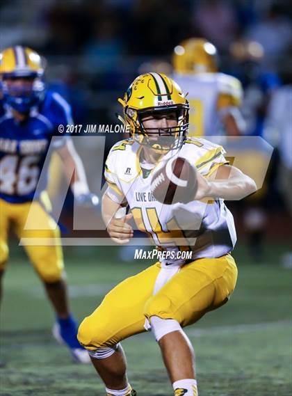 Thumbnail 1 in Live Oak @ Oak Grove photogallery.