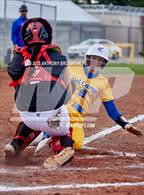 Photo from the gallery "Del Campo @ Cordova"