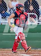 Photo from the gallery "Del Campo @ Cordova"