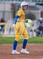 Photo from the gallery "Del Campo @ Cordova"